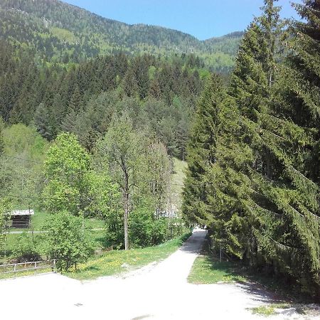 Klass 203 Kranjska Gora Exterior foto